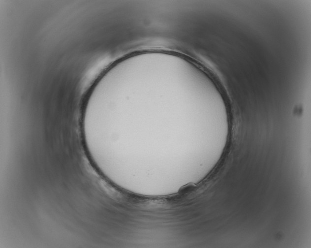 X0000112161464200909181436