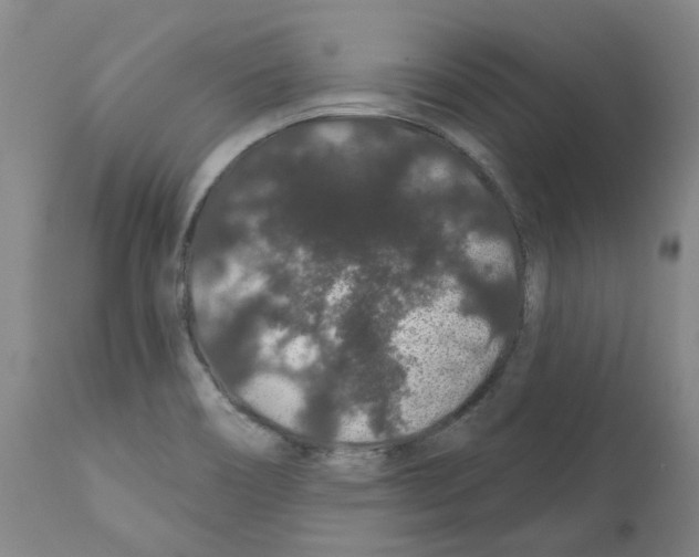 X0000112161466200909181436