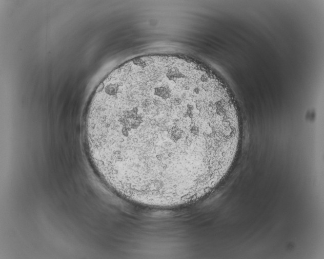 X0000112161467200909181436
