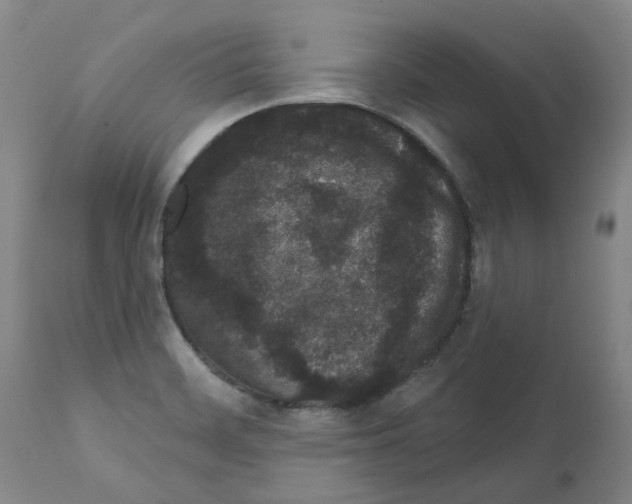 X0000112161468200909181436