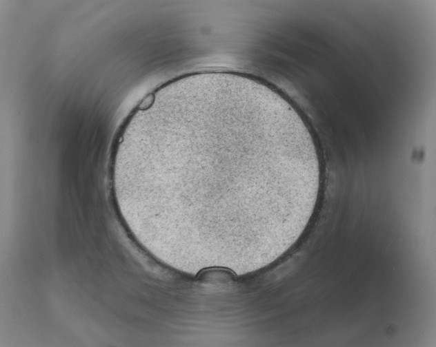 X0000112161469200909181436