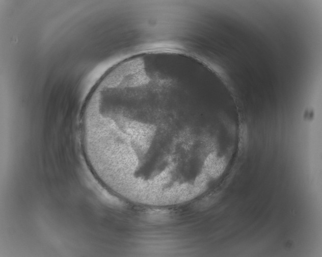 X0000112161470200909181436