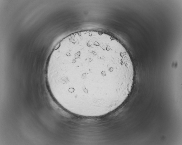 X0000112161471200909181436