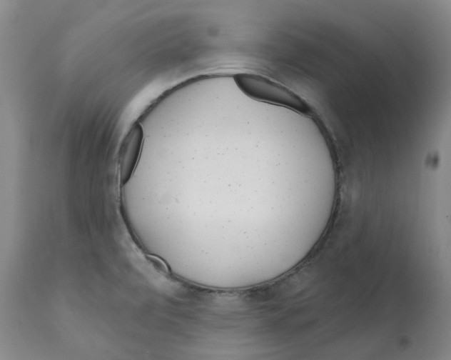 X0000112161472200909181436