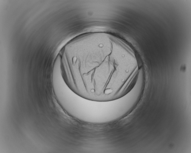 X0000112161473200909181436