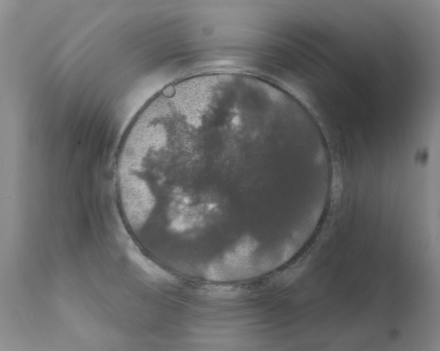 X0000112161474200909181436