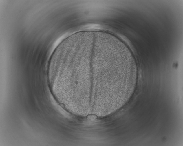 X0000112161475200909181436