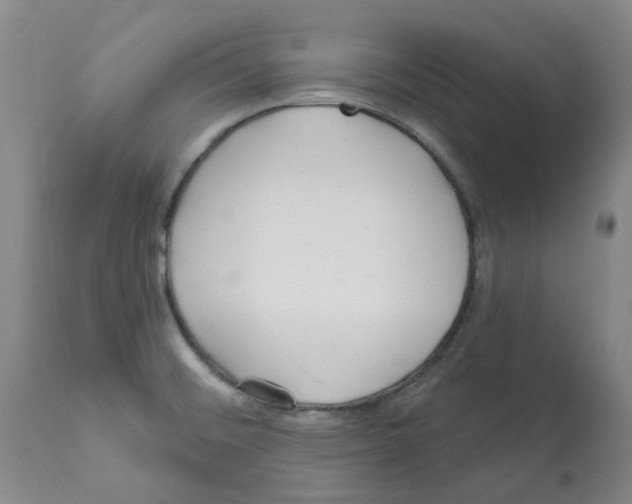 X0000112161476200909181436
