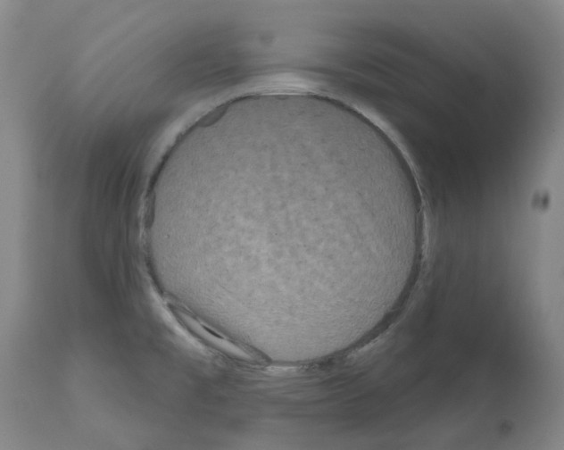 X0000112161477200909181436