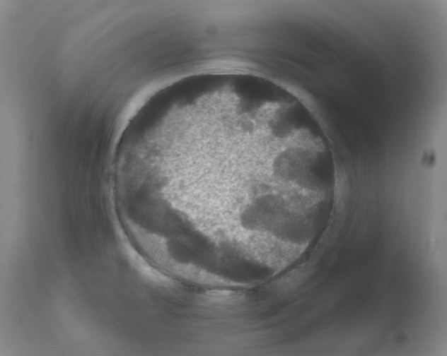 X0000112161478200909181436