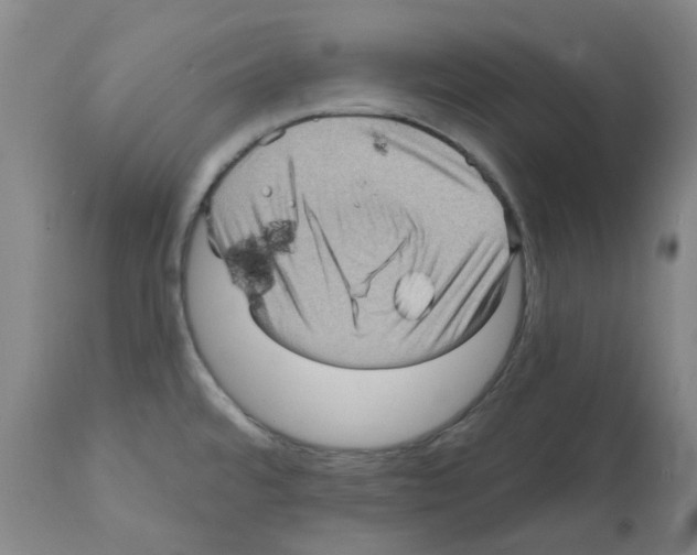 X0000112161480200909181436