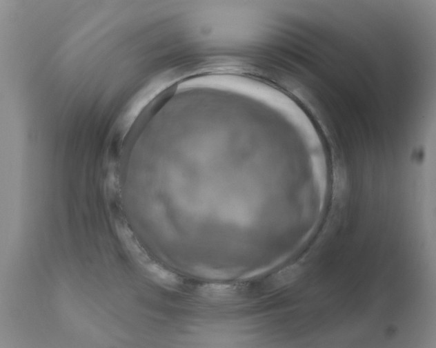 X0000112161481200909181435