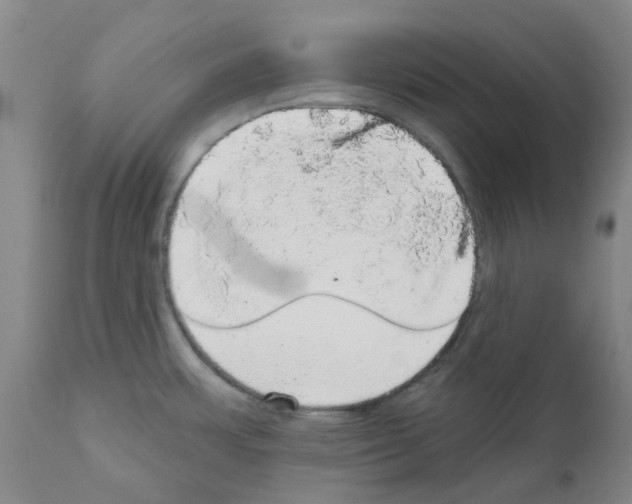 X0000112161483200909181435