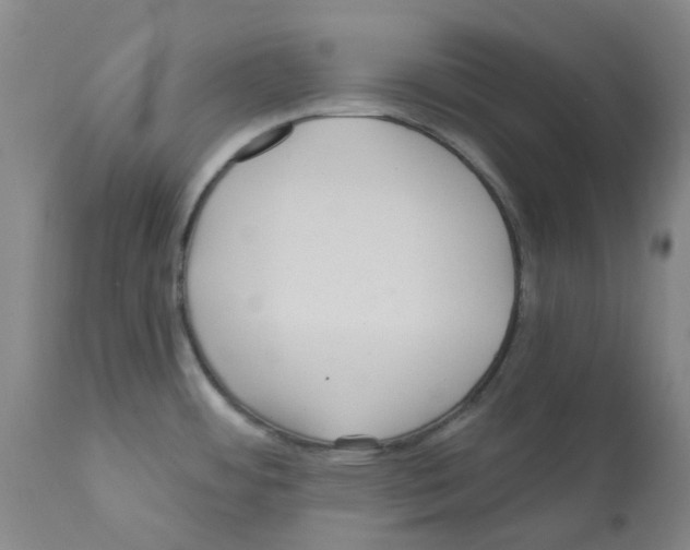 X0000112161484200909181435