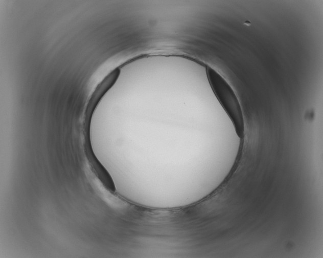 X0000112161485200909181435