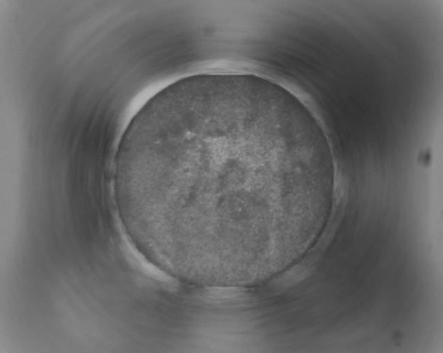 X0000112161486200909181435