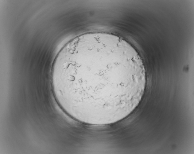 X0000112161487200909181435