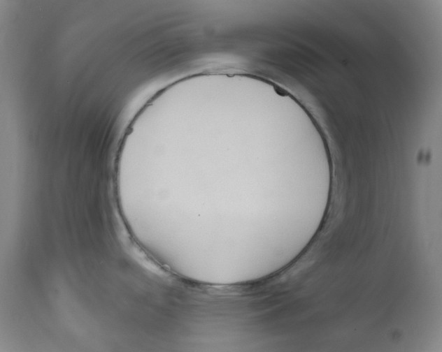 X0000112161488200909181435