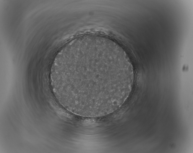X0000112161489200909181435