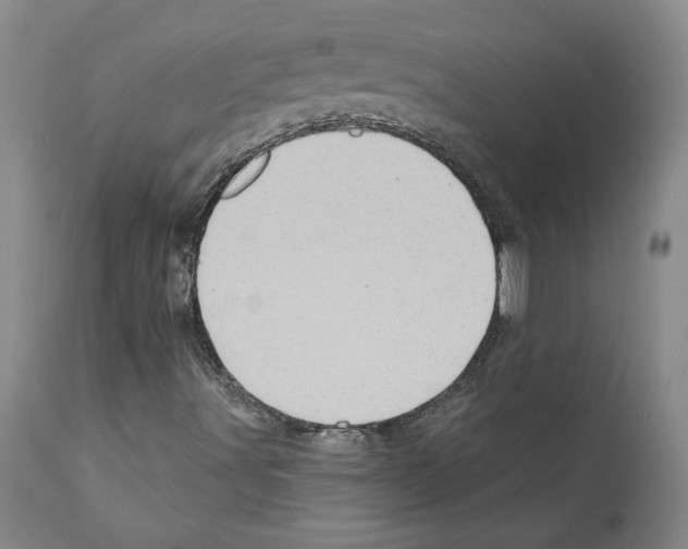 X0000112161491200909181435
