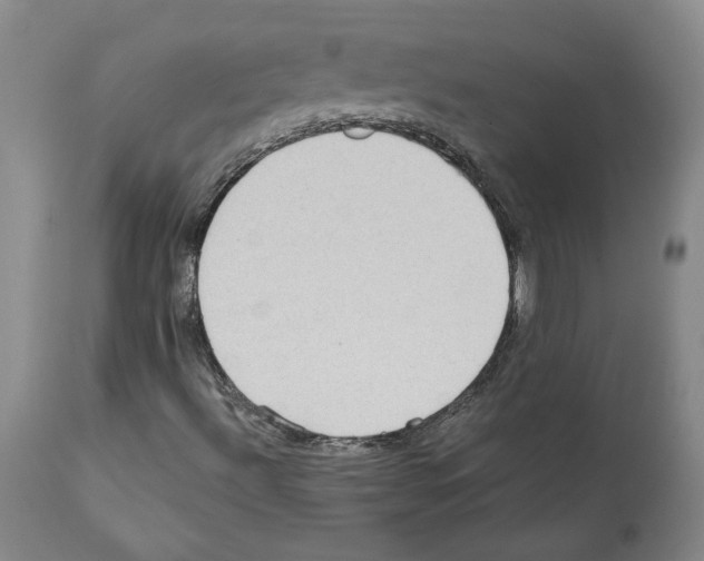 X0000112161492200909181435