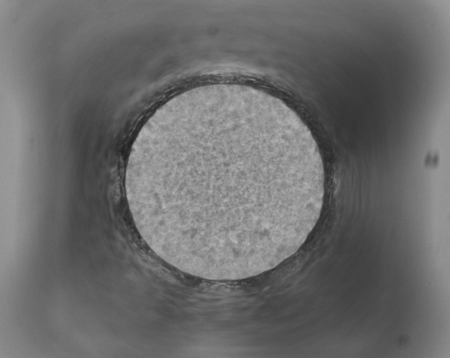X0000112161493200909181435