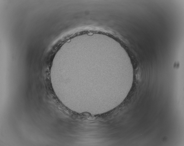 X0000112161495200909181435