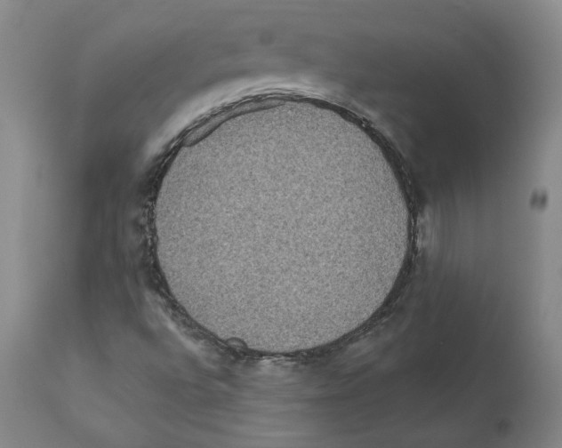 X0000112161496200909181435