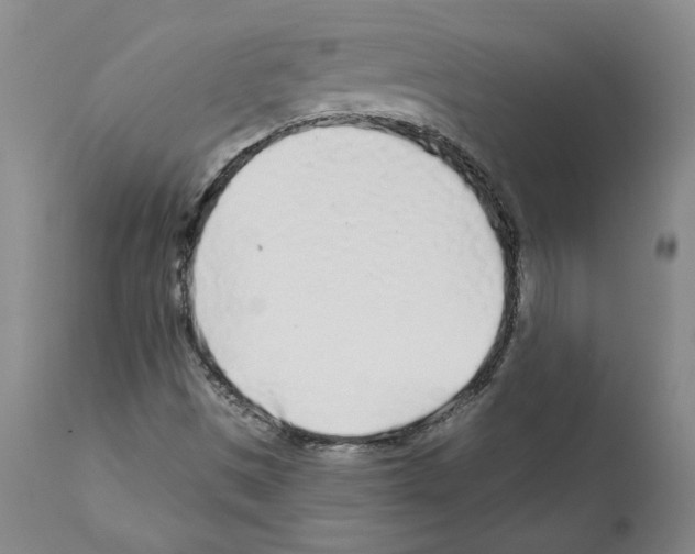 X0000112161497200909181435