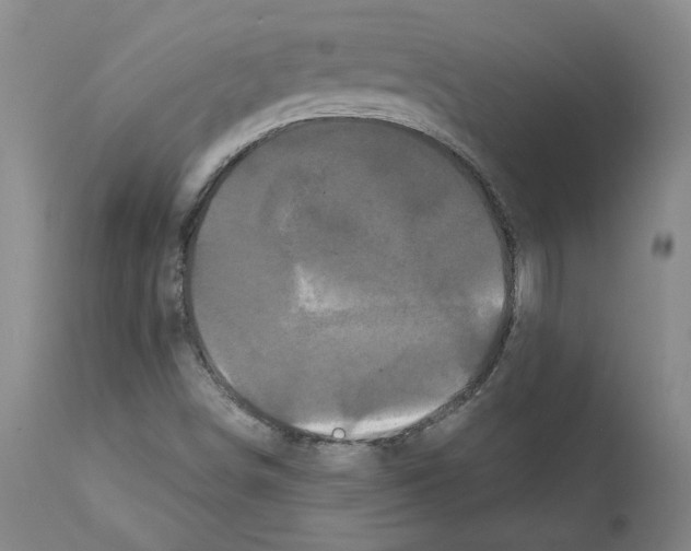 X0000112161498200909181435