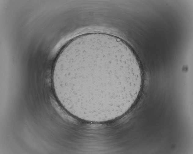 X0000112161499200909181435