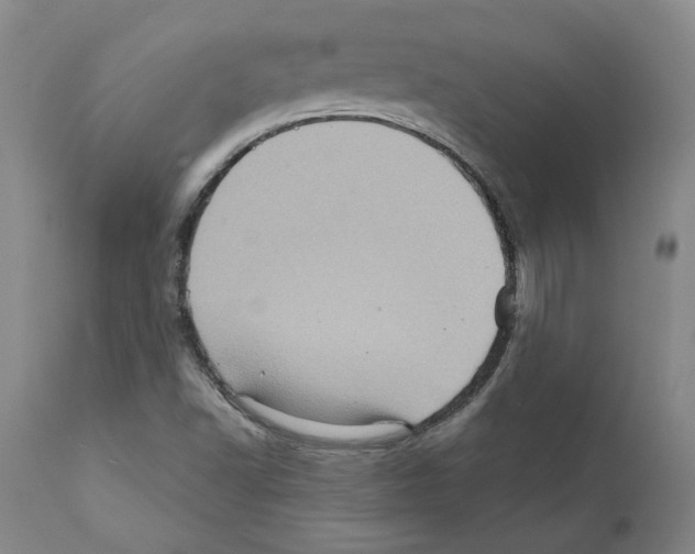 X0000112161502200909181435