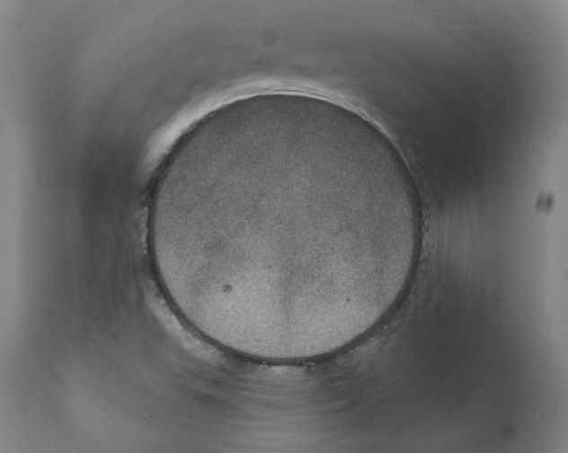 X0000112161503200909181435
