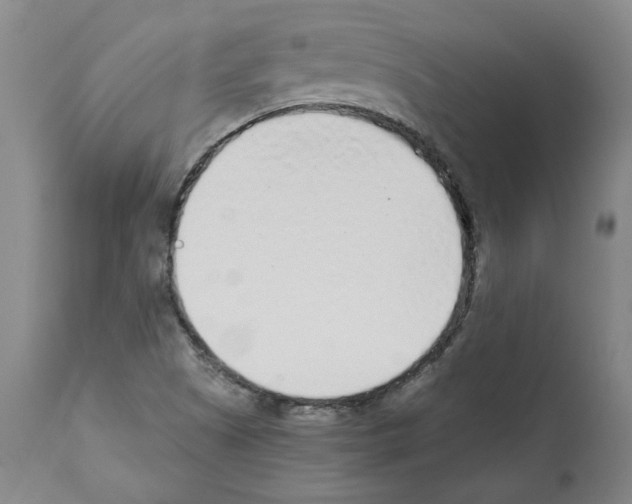 X0000112161505200909181435