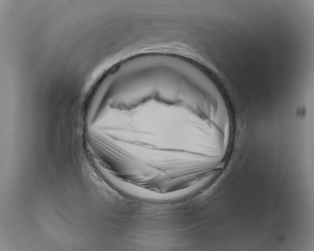 X0000112161506200909181435