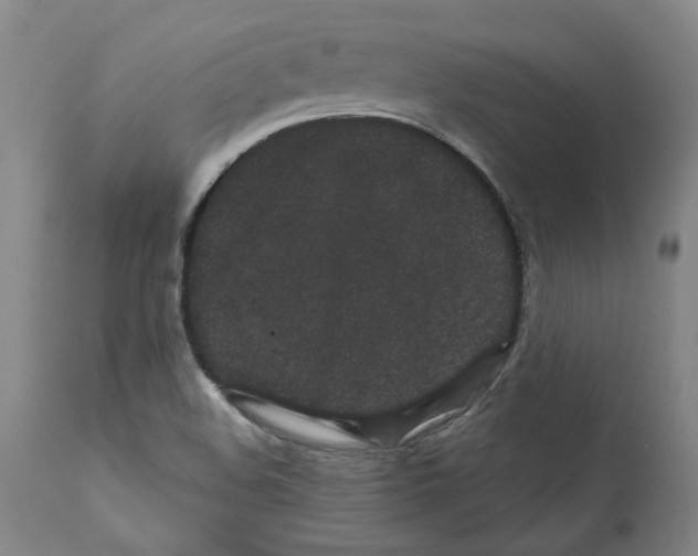 X0000112161508200909181435