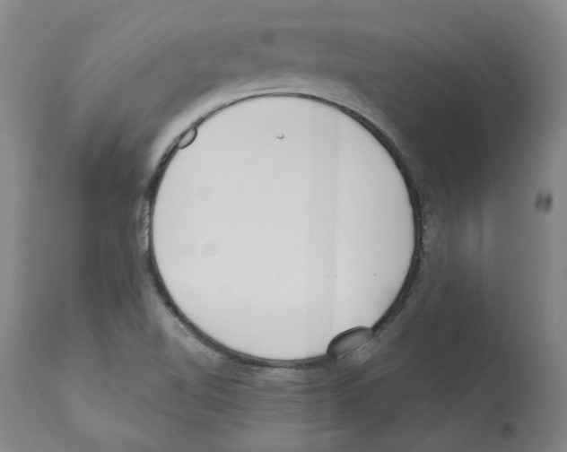 X0000112161510200909181435