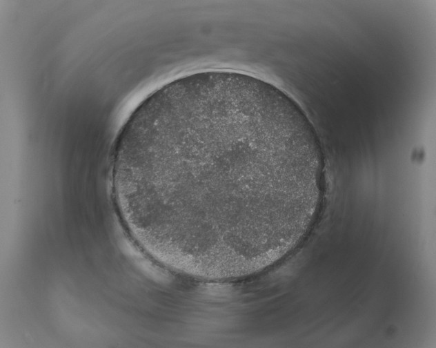 X0000112161511200909181435