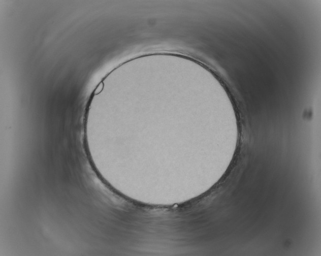 X0000112161512200909181435
