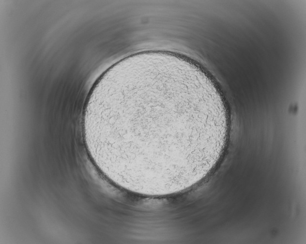X0000112161513200909181435