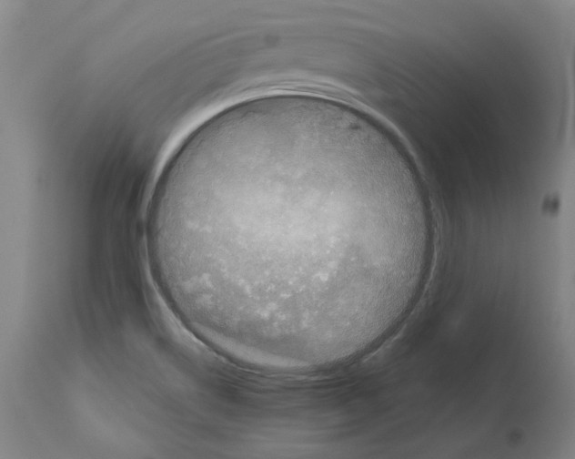 X0000112161514200909181435
