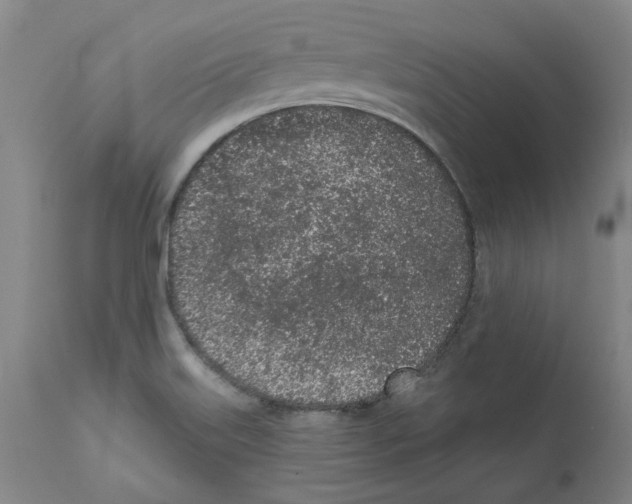 X0000112161515200909181435