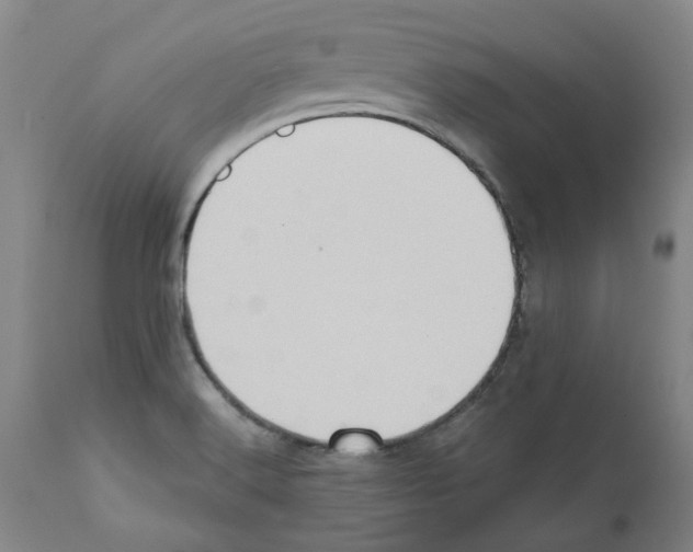 X0000112161516200909181435