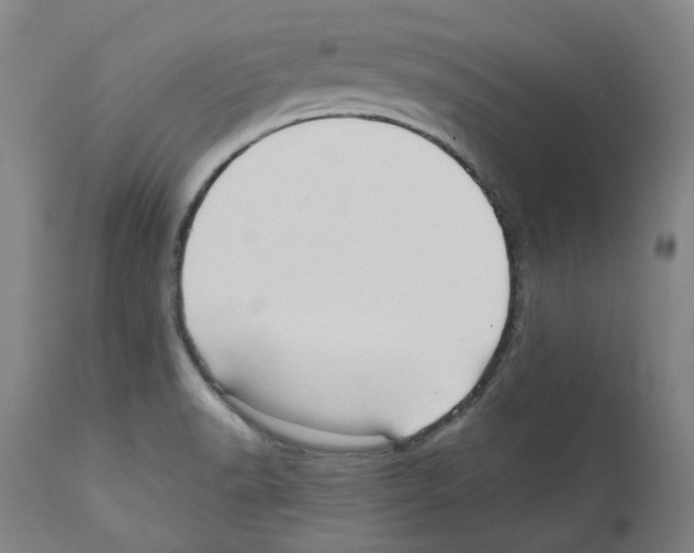 X0000112161518200909181435