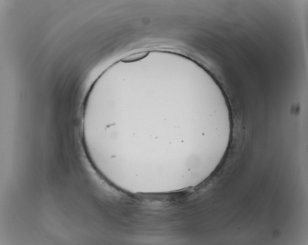 X0000112161520200909181435