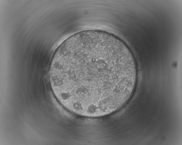 X0000112161521200909181435