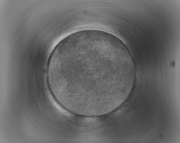 X0000112161523200909181435