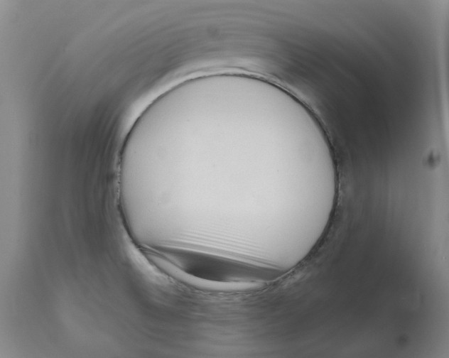 X0000112161524200909181435