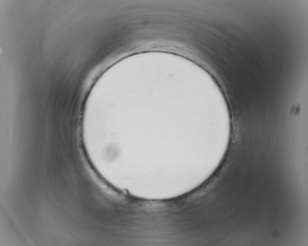 X0000112161525200909181435