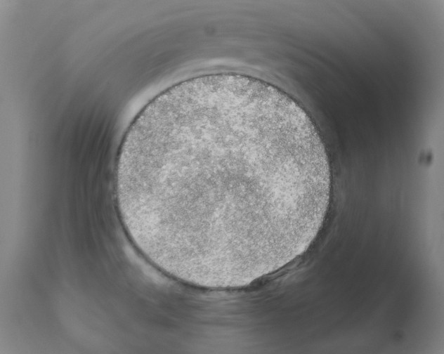 X0000112161527200909181435